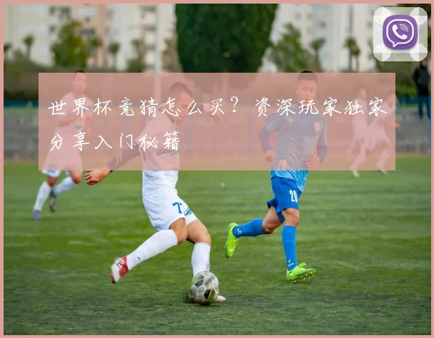 世界杯竞猜怎么买？资深玩家独家分享入门秘籍