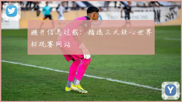 避开信息过载：精选三大核心世界杯观赛网站