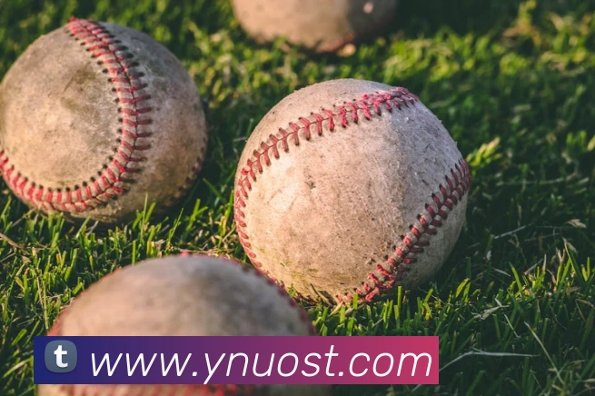 mksports在线登录入口平台生态图