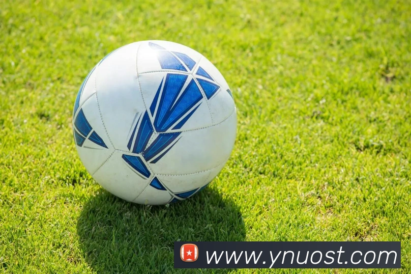 mksports在线登录入口全站App